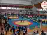 a2e2011defa58c1c3ec3f428ea00a48a