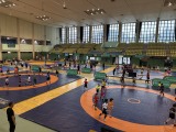 IMG_1981