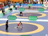 ab1975140fe0984480d74768042743d1